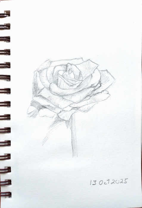 Next Picture